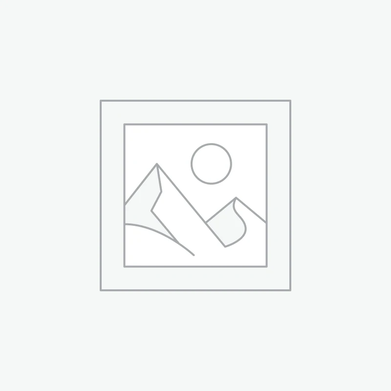 Burin outil diamant ODI